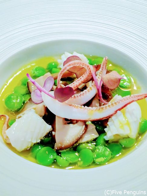 ヤリイカとエンドウ豆、椎茸ときくらげのソース