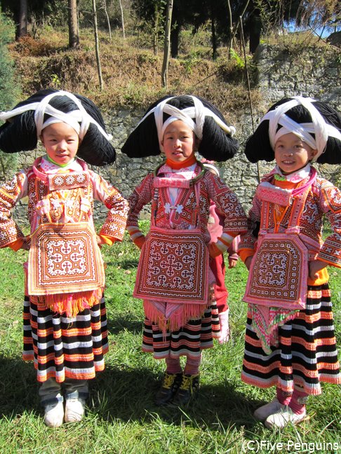 鮮やかな民族衣装と大きな髷で着飾った女の子たちに萌え