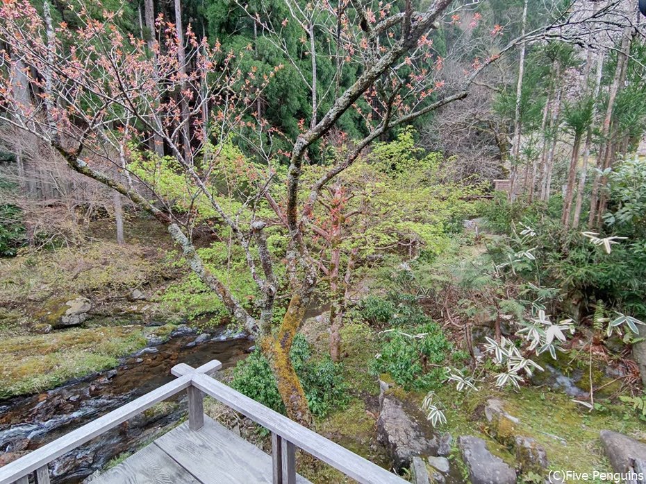 こんな田舎の自然を眺めながらの食事は格別です