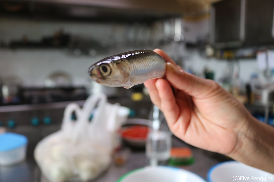 シラクーサで新鮮なシーフード料理のレッスン♪