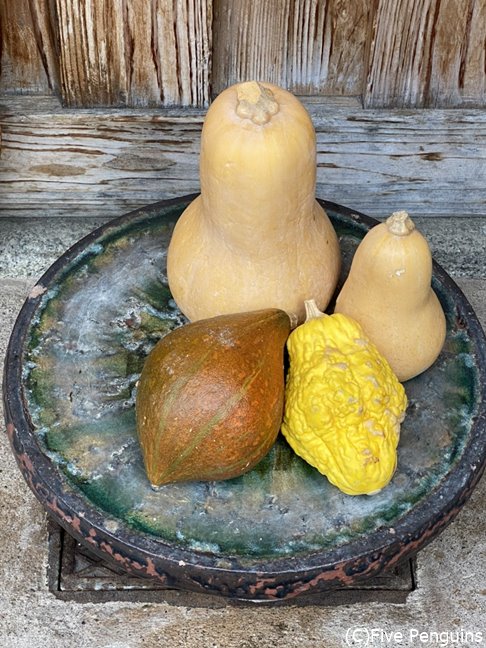 珍しい形の野菜たちが入口で迎えてくれる