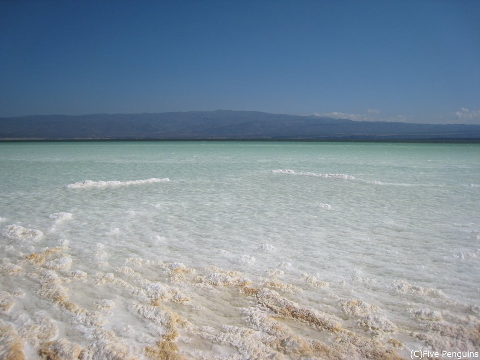 世界一の塩分濃度を誇る塩湖！舐めるのは危険！