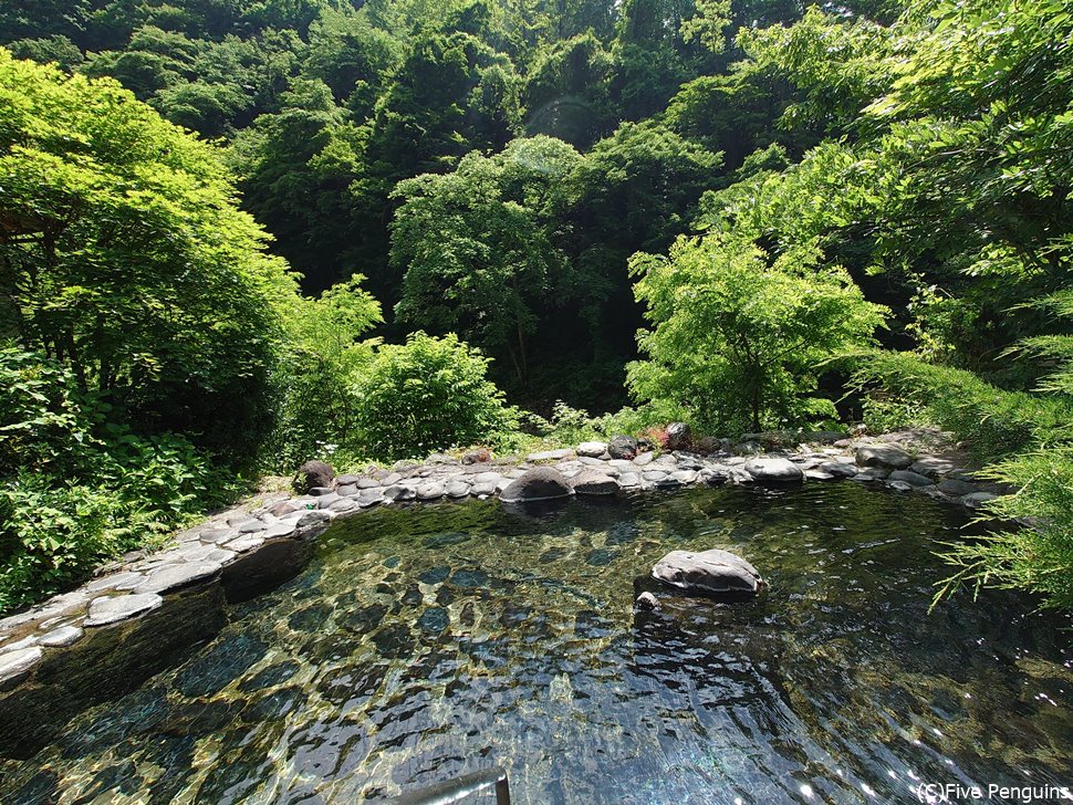 取り囲む緑緑・・・これはまさに秘湯です