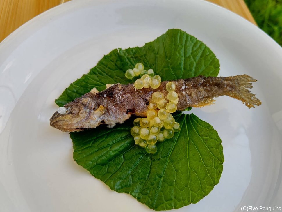 摑み取りした岩魚の瞬間冷凍→揚げた一品