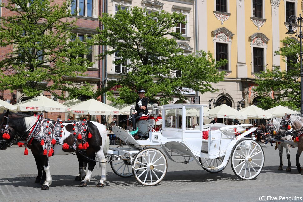 クラクフの旧市街を走る観光馬車