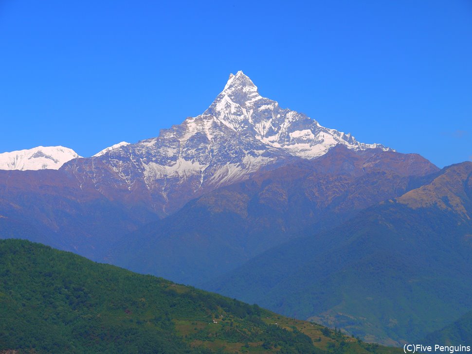 コロナが収束したら見に行きたい、ネパール・マチャプチャレ山