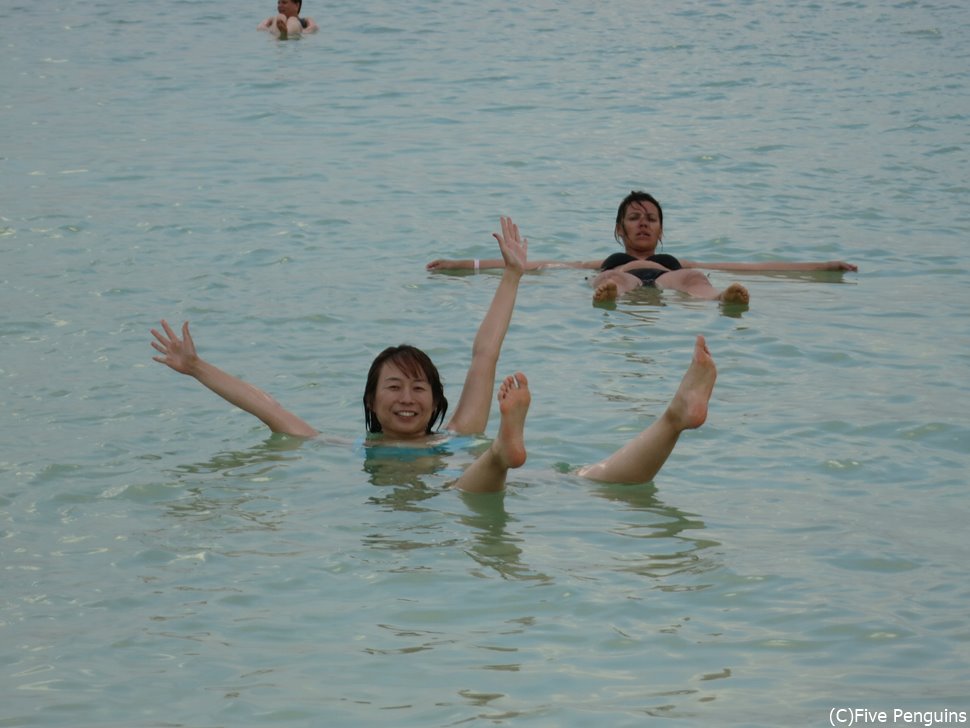 憧れのプカプカ♪死海浮遊体験!