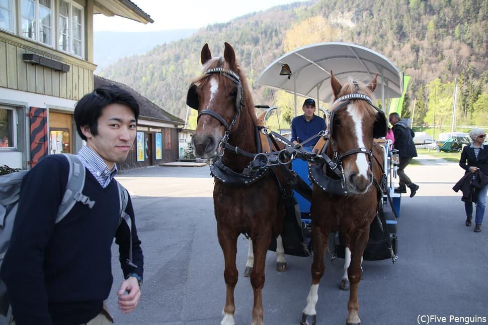 帰国後、空港から自宅への移動に電車・バスの利用はNG。マイカーかマイ馬車で帰ろう!