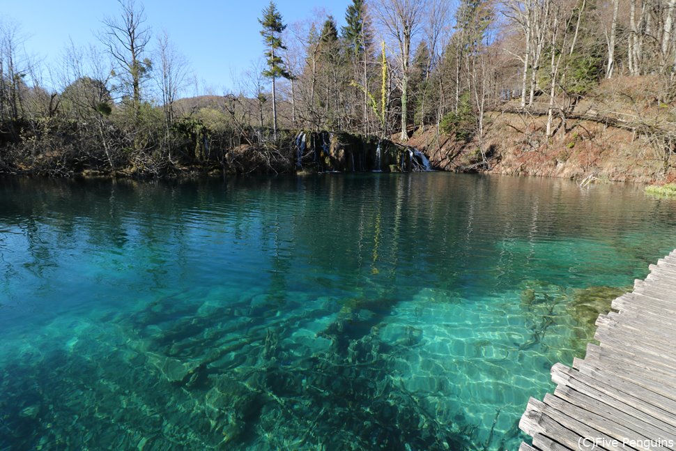 透明度が高く澄んだプリトヴィツェ国立公園の湖