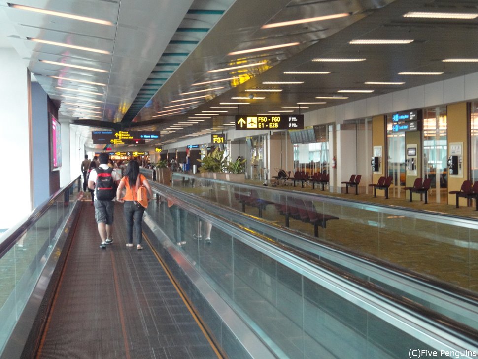 帰国してからの規制は？＜空港イメージ＞
