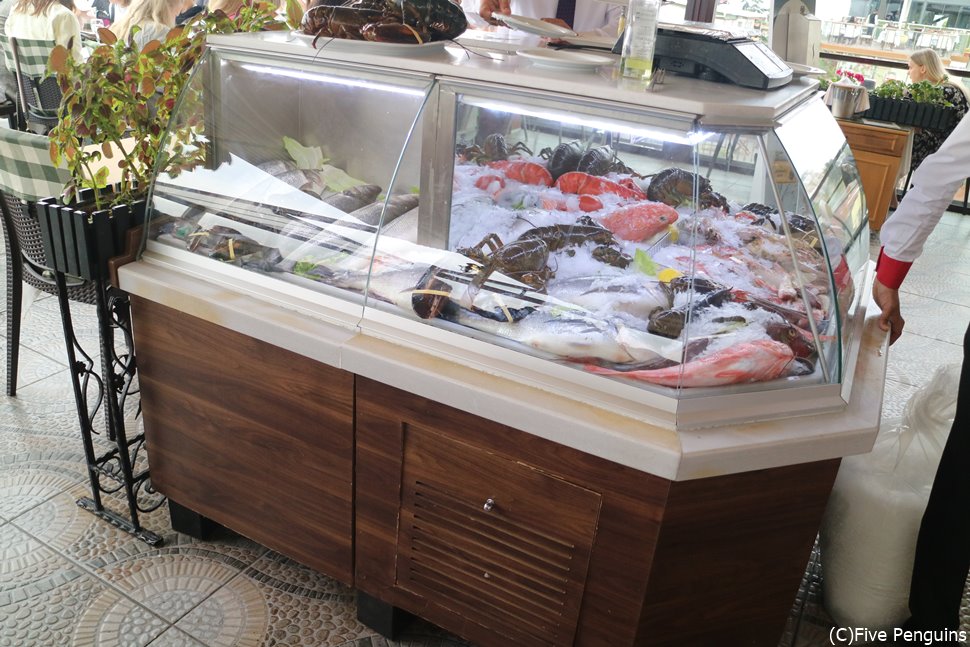 フレッシュなお魚たち。さて、どれを頂こう?迷ってしまう。