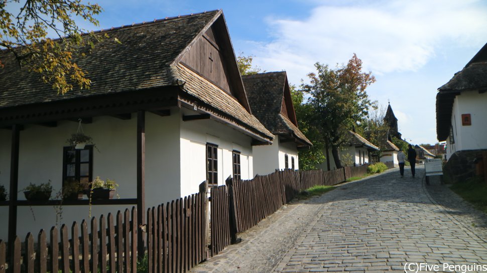 width=