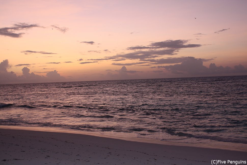 バード島のビーチにて　夕暮れはいつも美しい