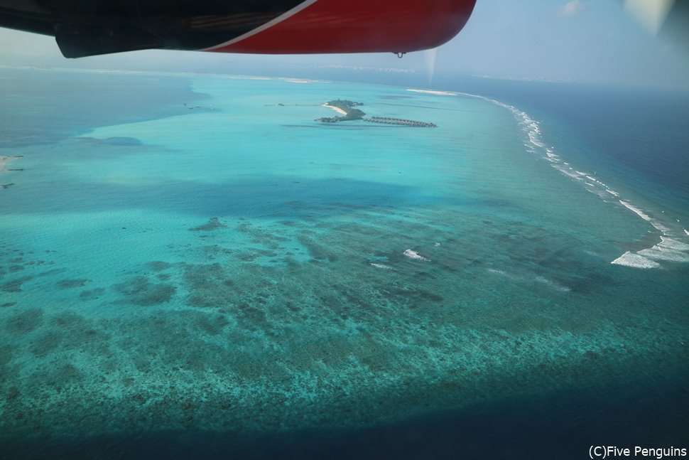 移動の水上飛行機から眺めるモルディブの絶景に感動