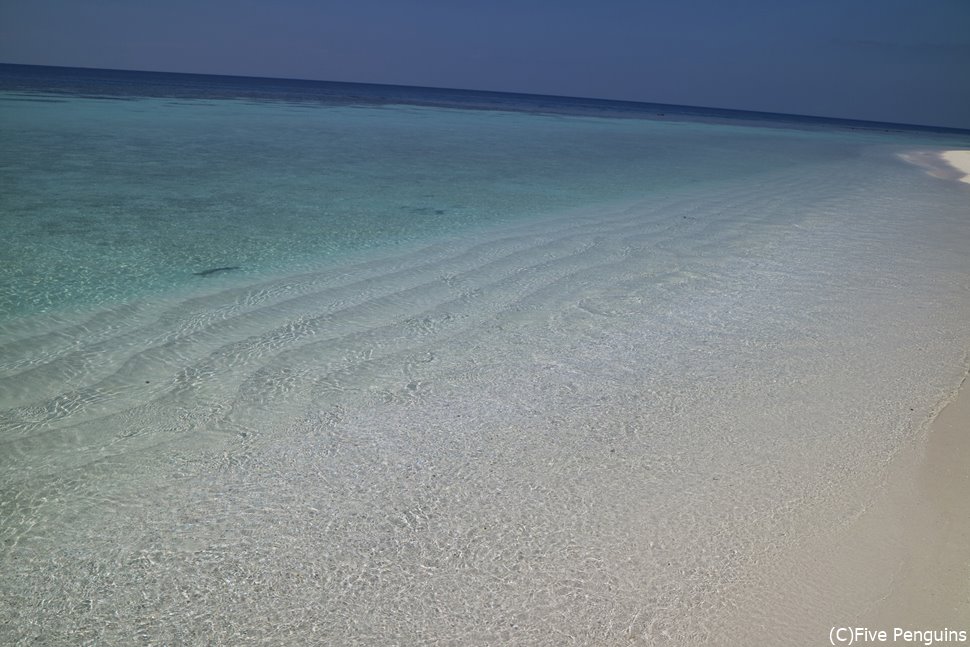 見渡す限りつづく青い空、海そして白い砂浜、　これがモルディブ！