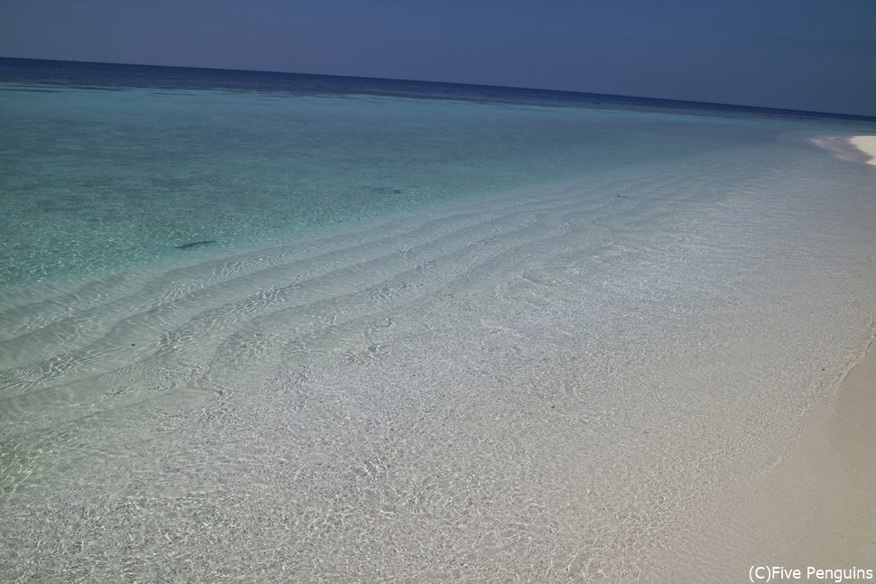 見渡す限りつづく青い空、海そして白い砂浜、 これがモルディブ!