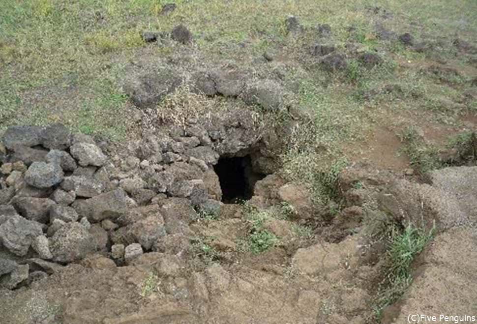 地元の人も見落としそうなアナカケンガ洞窟の入口