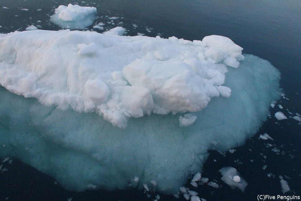 白夜の氷山クルーズで、プカプカ浮かんでいる氷塊