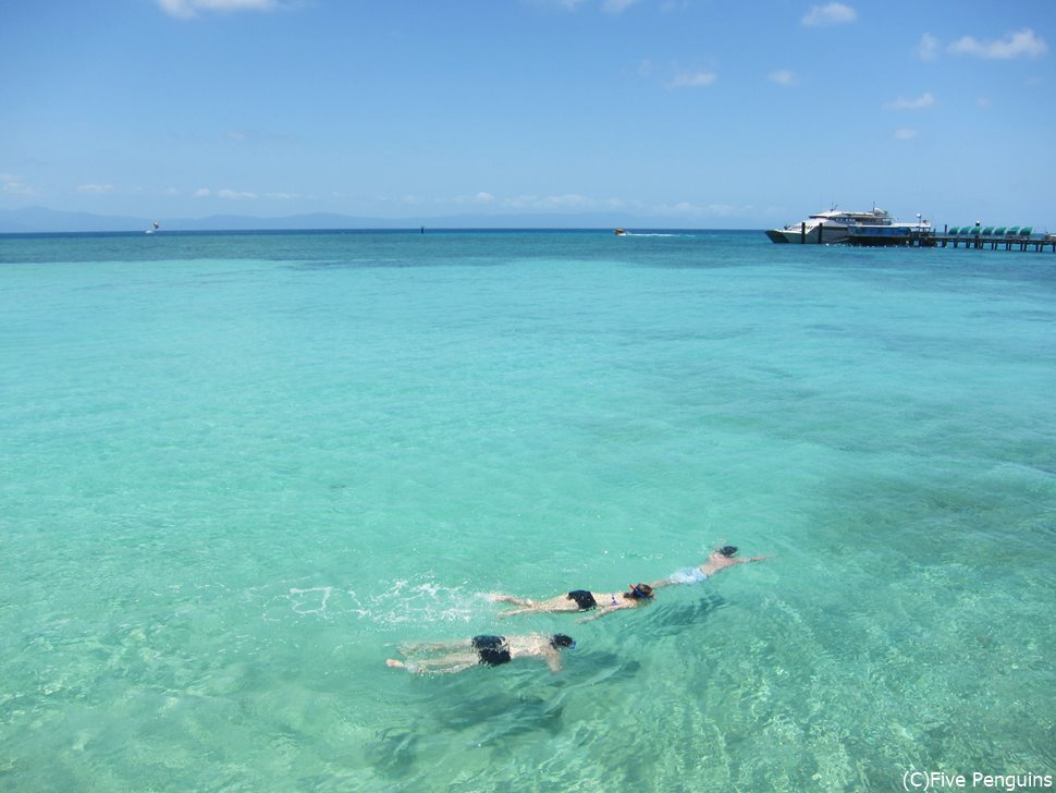 透明度の高い海